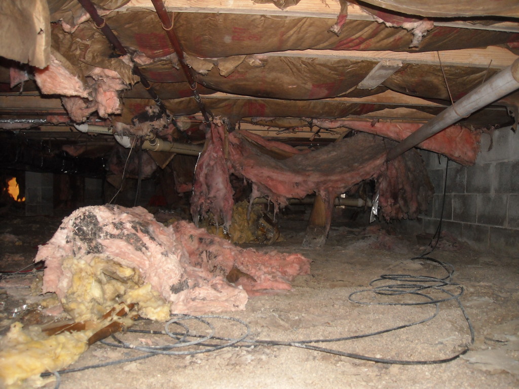 crawlspace wet insulation before