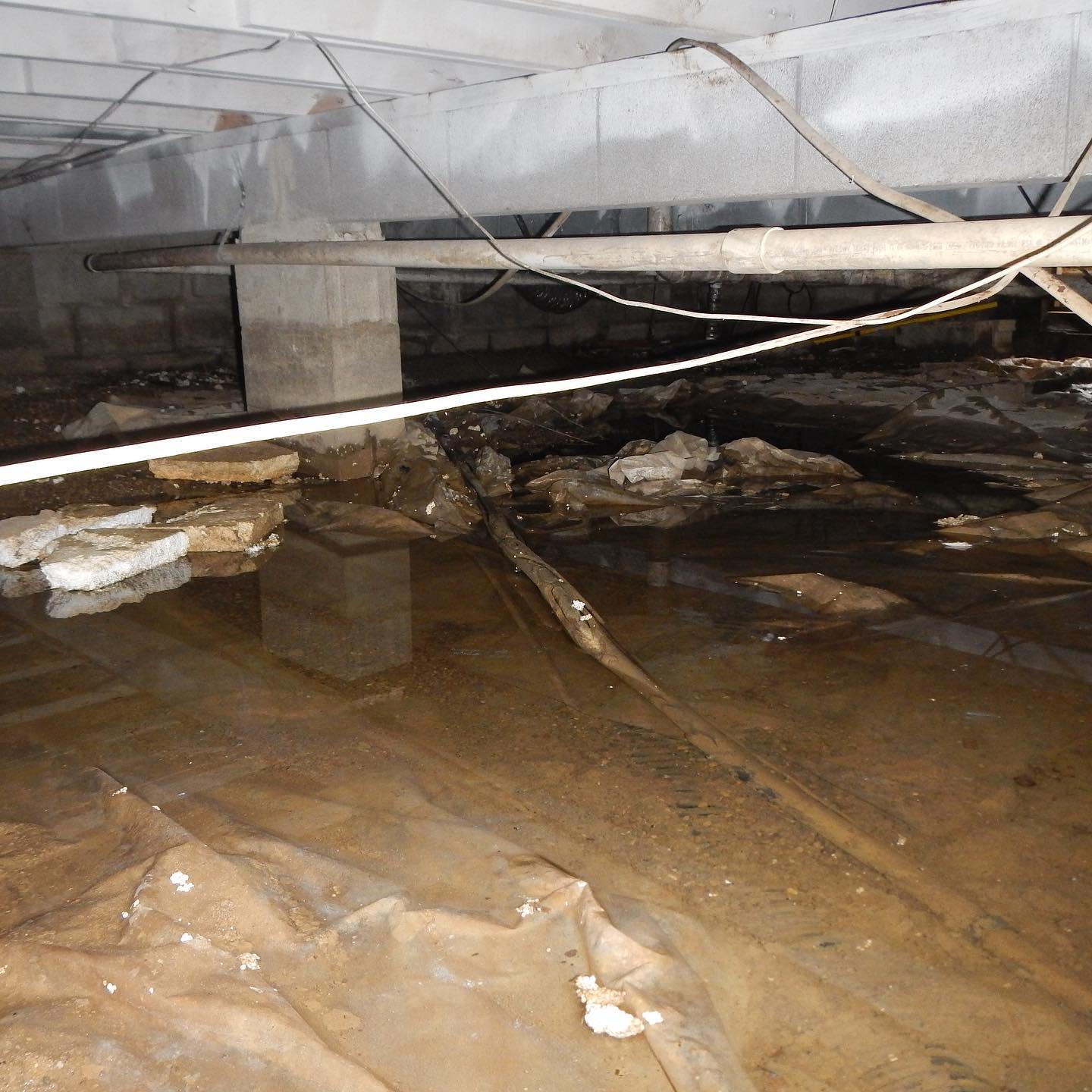 Full Encapsulation — before